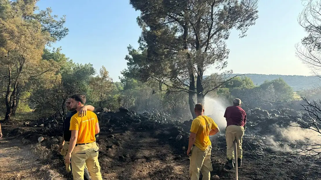 İzmir Urla'da Orman Yangını Korkuttu: Kıvılcımlardan Çıkan Yangın Kısa Sürede Söndürüldü