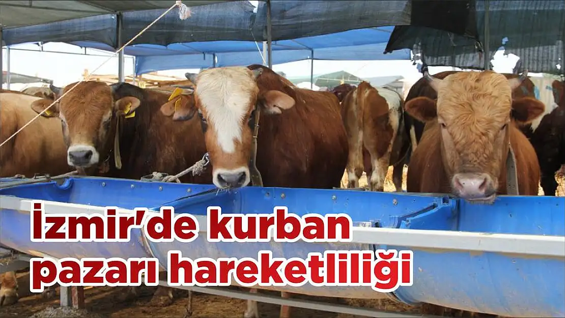 İzmir'de kurban pazarı hareketliliği