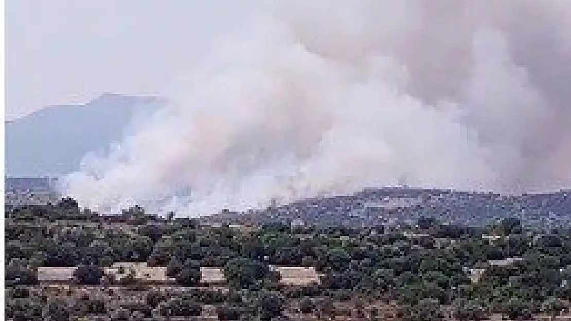 İzmir’de makilik alanda yangın