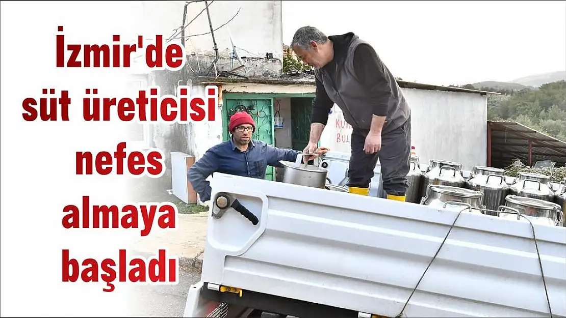 İzmir'de süt üreticisi nefes almaya başladı