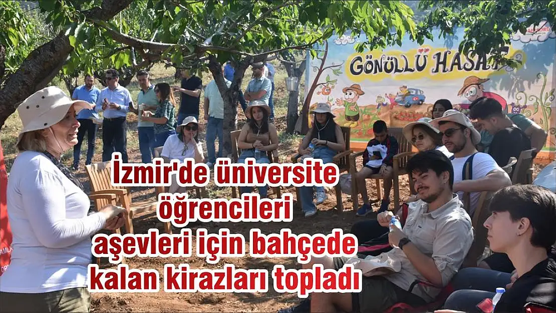 İzmir’de üniversite öğrencileri aşevleri için bahçede kalan kirazları topladı