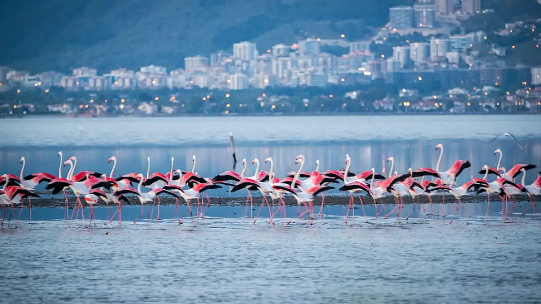 İzmir’in denizi ‘Mükkemmel’