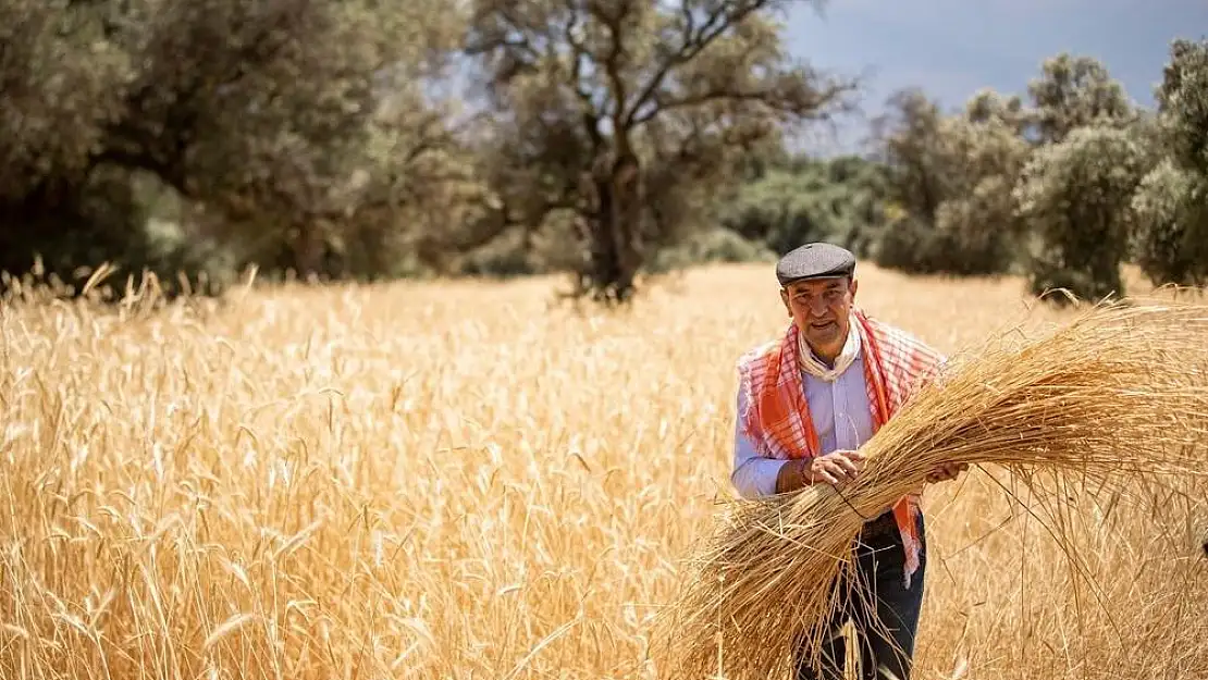 İzmir’in karakılçık makarnası ihraç edildi