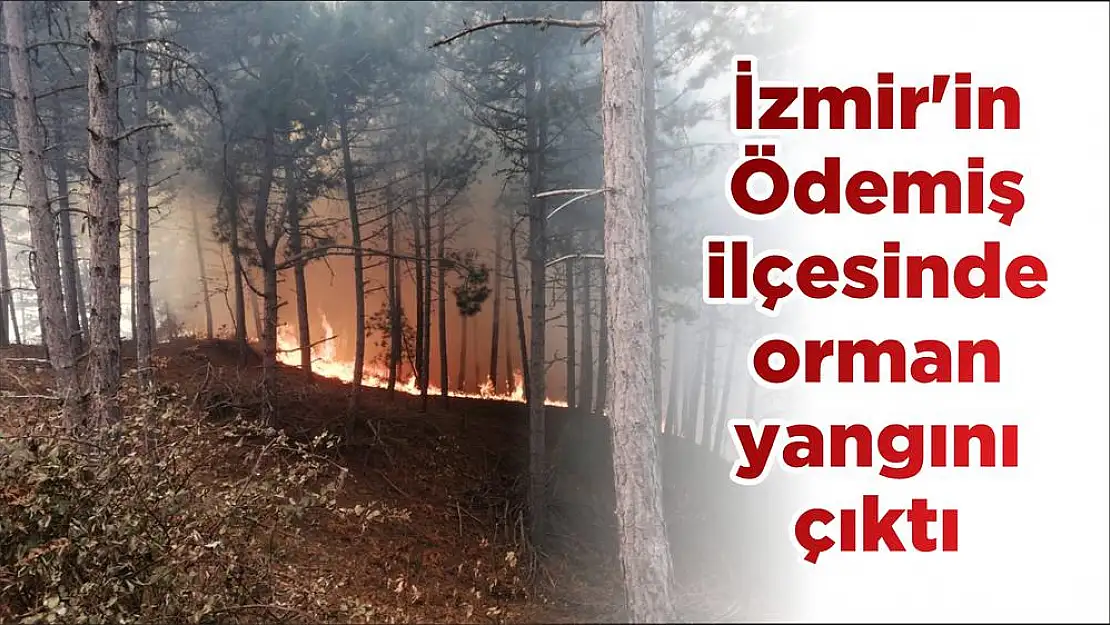 İzmir’in Ödemiş ilçesinde orman yangını çıktı