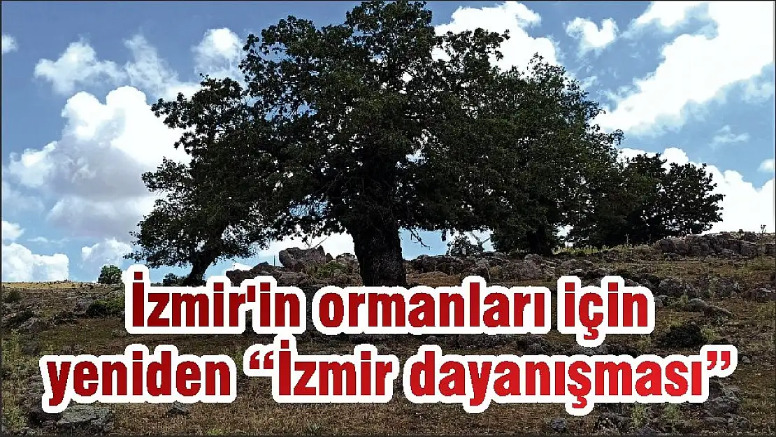 İzmir'in ormanları için  yeniden 'İzmir dayanışması'