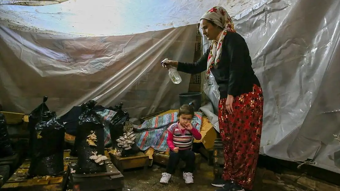 İzmirli kadınlar köy yaşam merkeziyle mantar üreticisi oldu