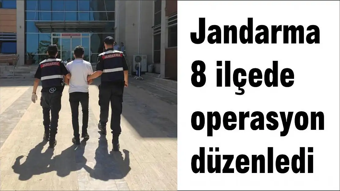Jandarma 8 ilçede operasyon düzenledi