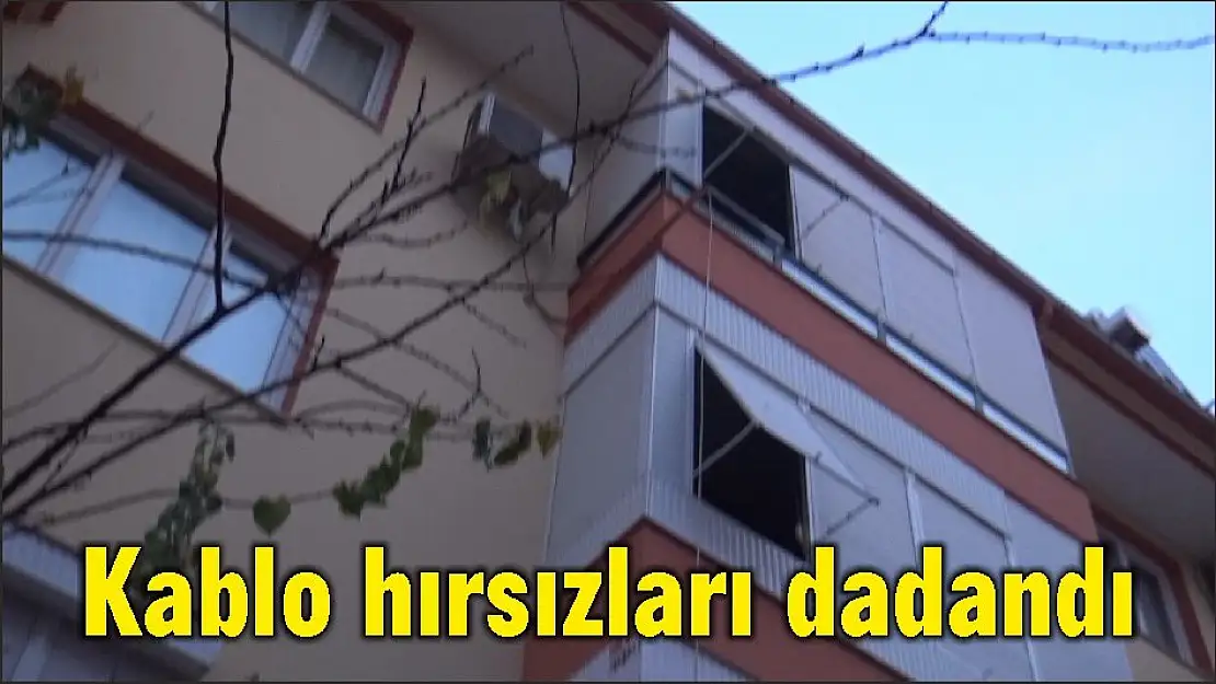 Kablo hırsızları dadandı