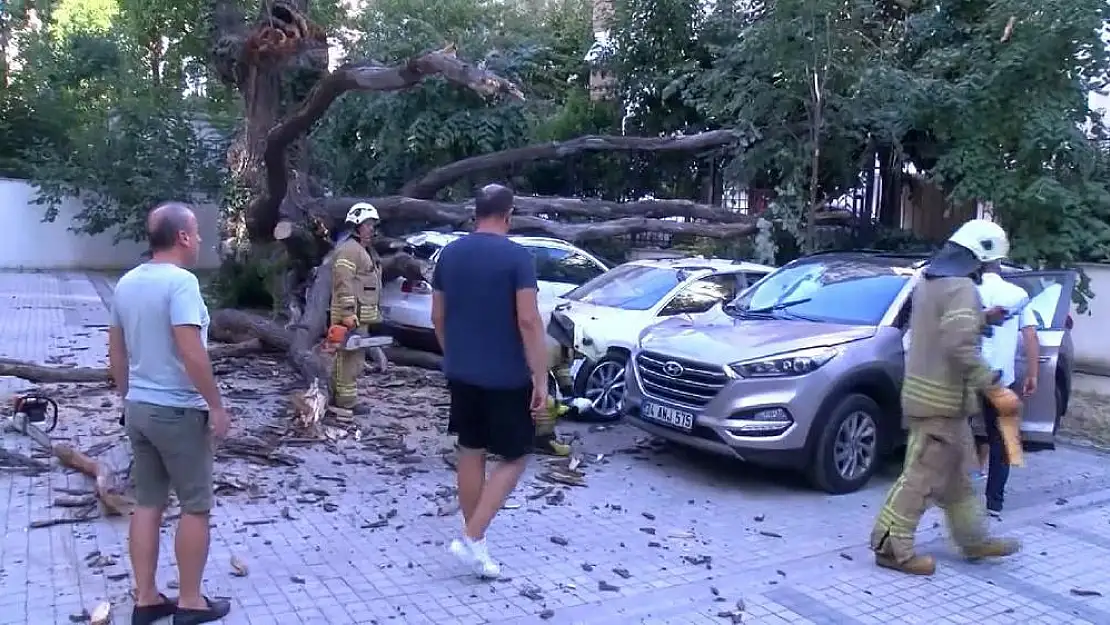 Kadıköy'de araçların üzerine ağaç devrilmesiyle ortalık karıştı