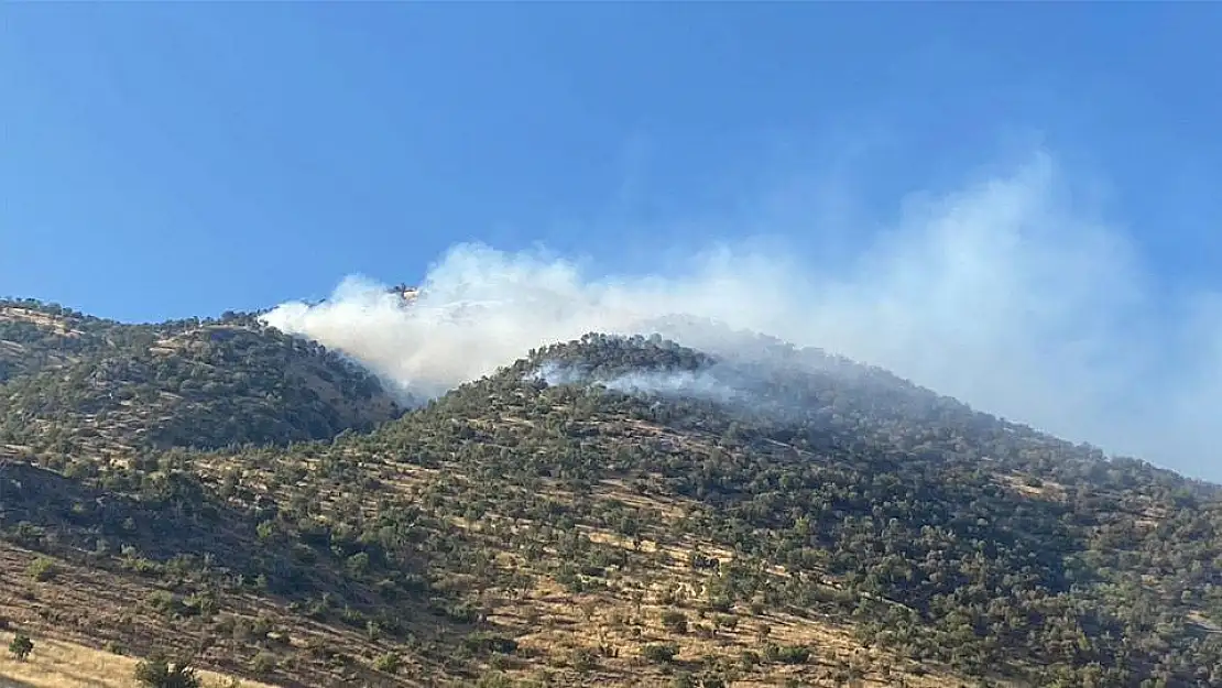 Kahramanmaraş'ta yangın kontrol altına alındı