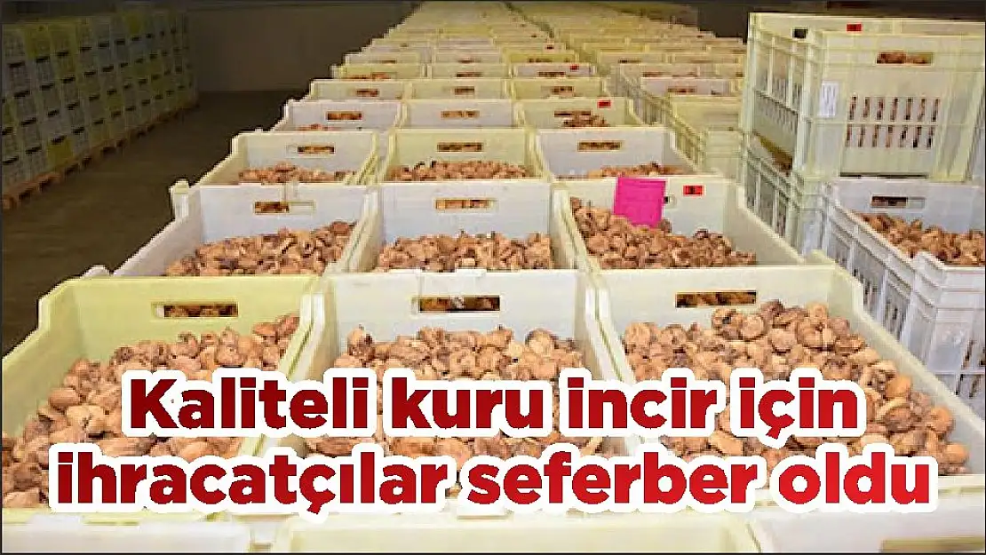 Kaliteli kuru incir için ihracatçılar seferber oldu