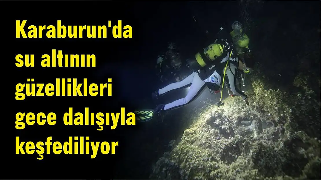 Karaburun’da su altının güzellikleri gece dalışıyla keşfediliyor