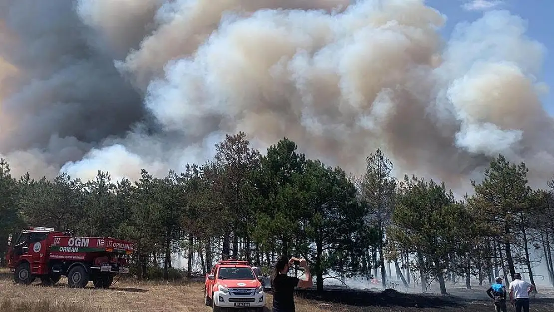 Kastamonu'da orman yangını: Ekiplerin müdahalesi ile yakın zamanda söndürüldü