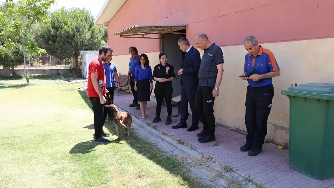 Kemalpaşa'da Türkiye'ye Örnek Olacak Proje: BORAK K9 Yerleşkesi İlk Arama Köpeğini AFAD'a Teslim Etti