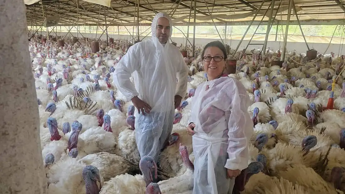 Kiraz'da Tavuk ve Hindi Çiftlikleri Mercek Altında