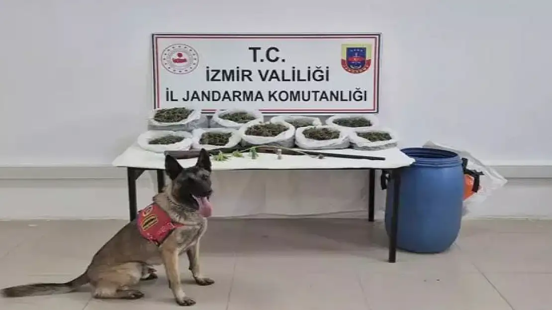 Kiraz'da uyuşturucu Operasyonu 1 gözaltı