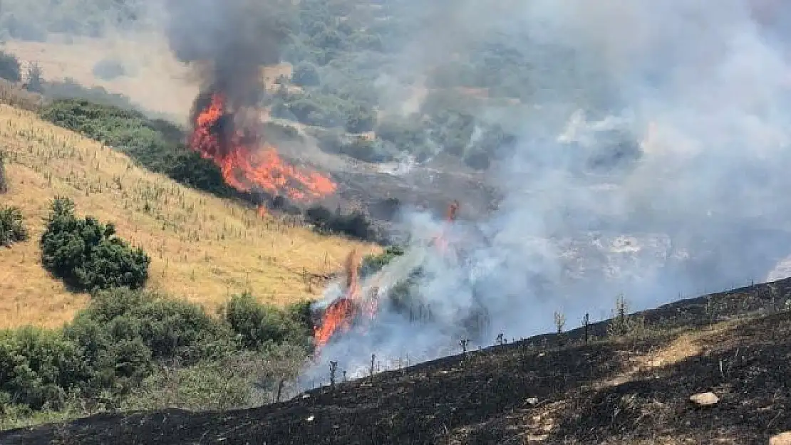 Kiraz’da ekin tarlasında yangın…