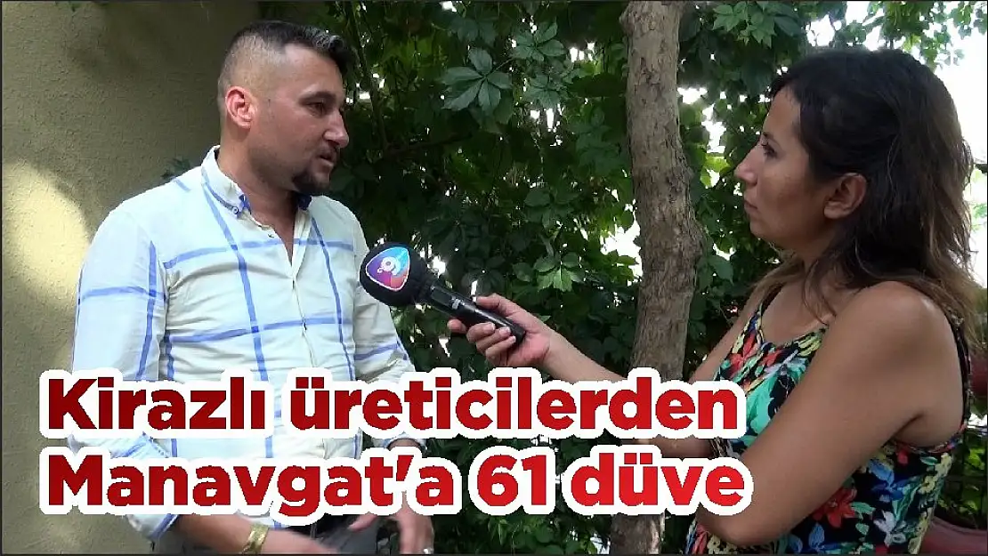 Kirazlı üreticilerden Manavgat’a 61 düve