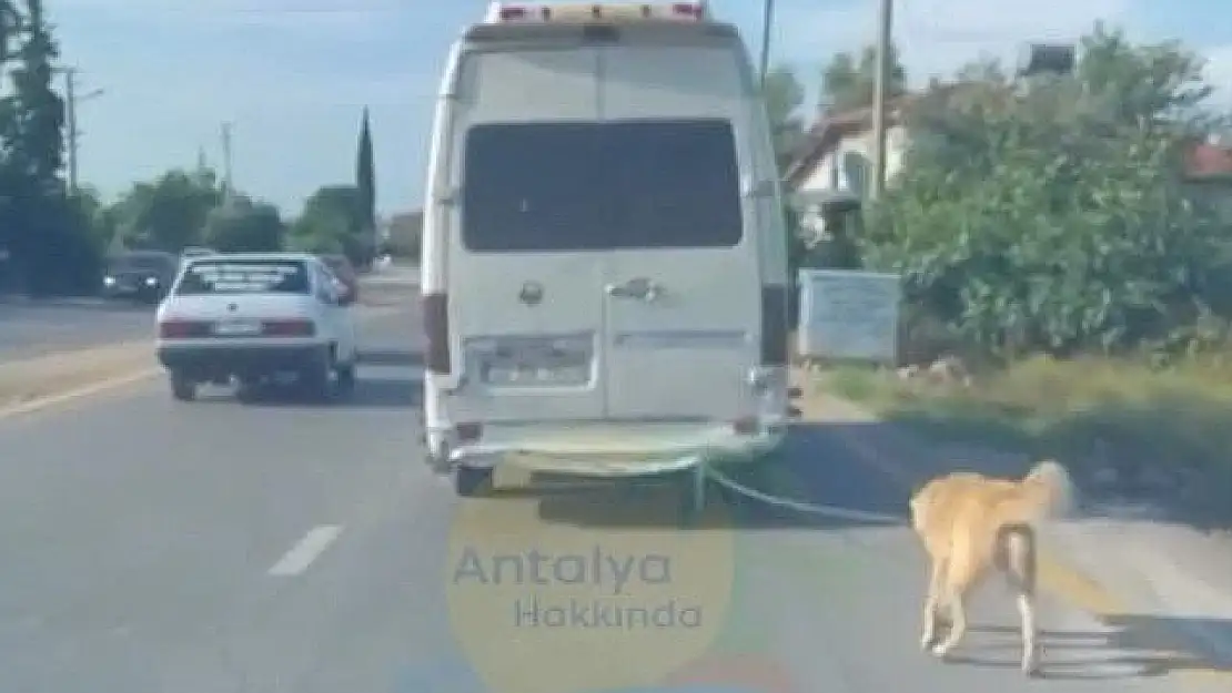 Köpeği aracın arkasına bağlayarak eziyet etti