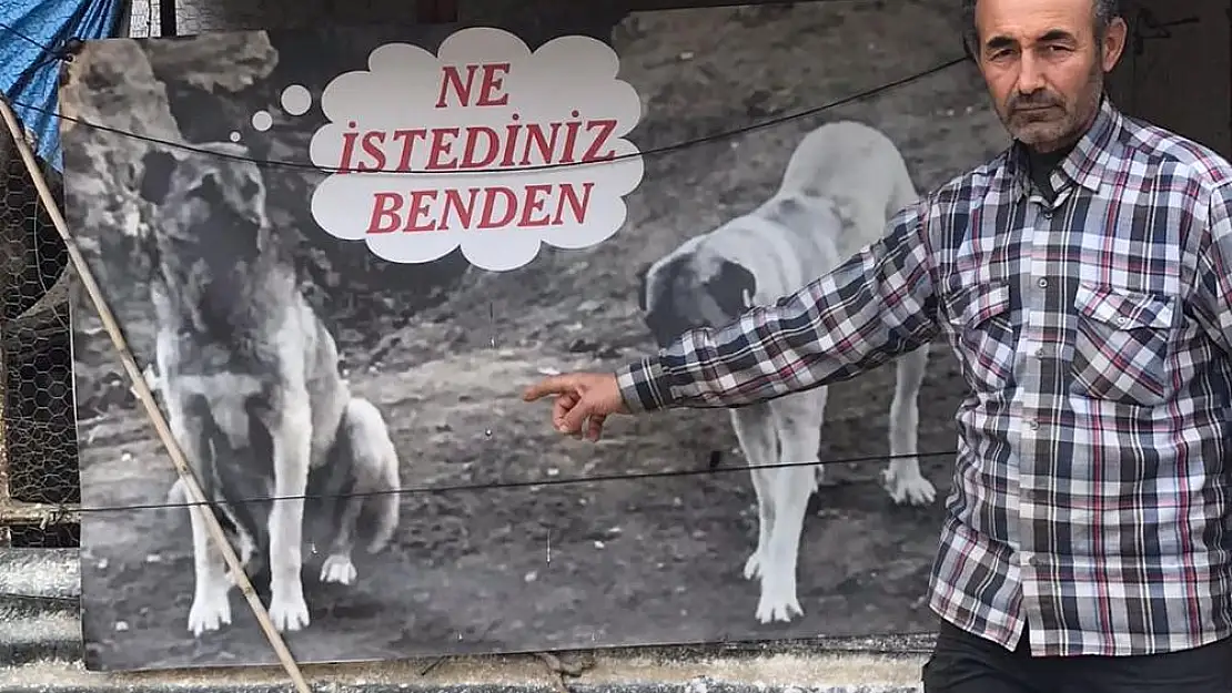 Köpeği zehirlendi: Afişle tepki gösterdi