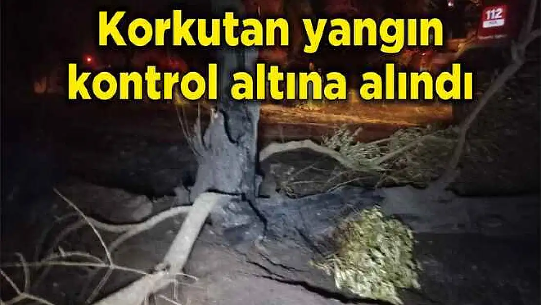 Korkutan yangın kontrol altına alındı