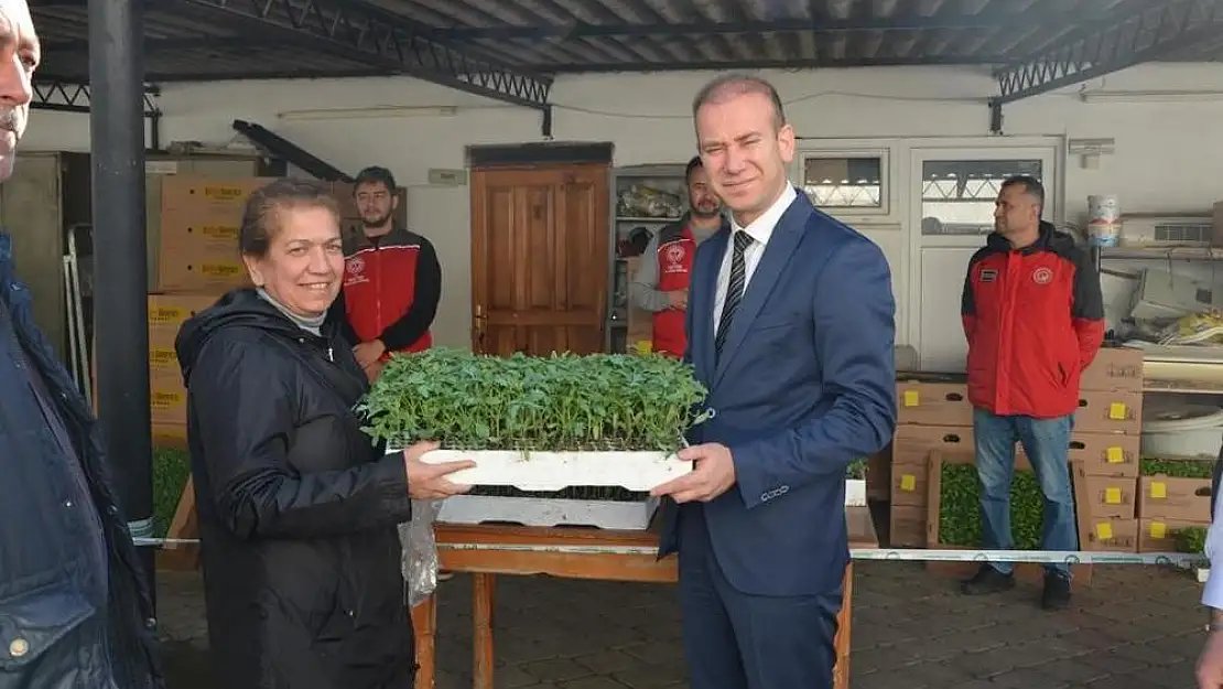 Köyceğiz'de Ata tohumu fidesi dağıtıldı