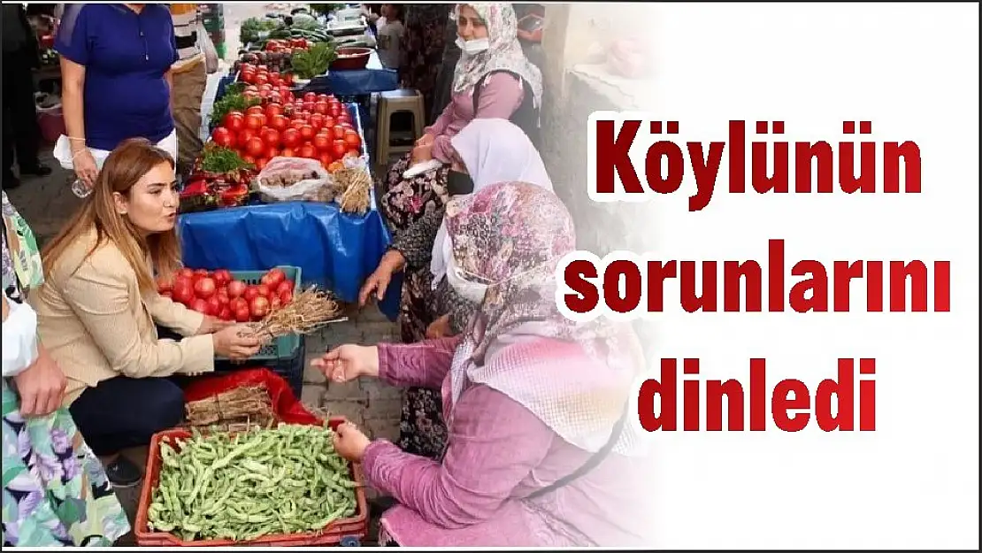 Köylünün sorunlarını dinledi