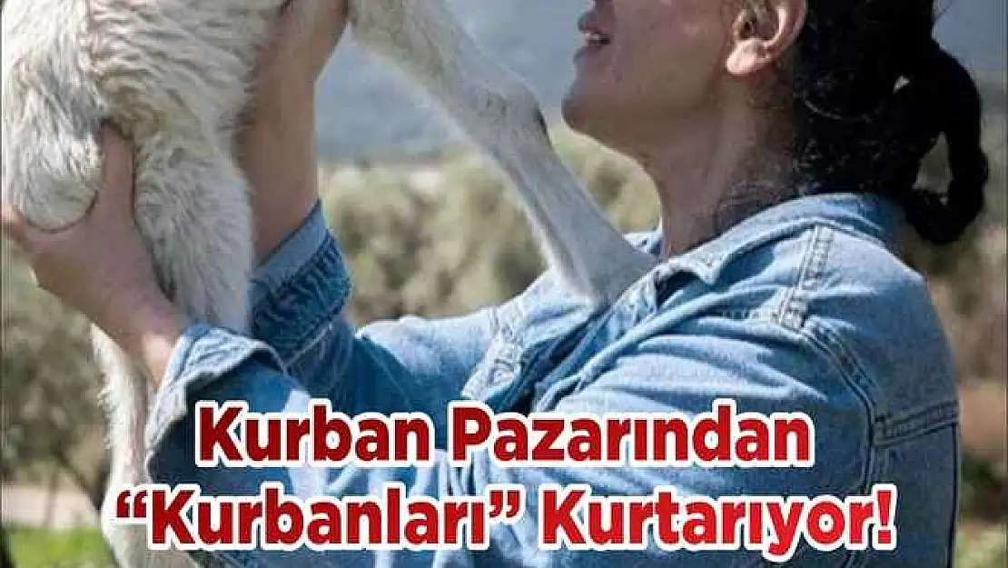 Kurban Pazarından 'Kurbanları' Kurtarıyor!