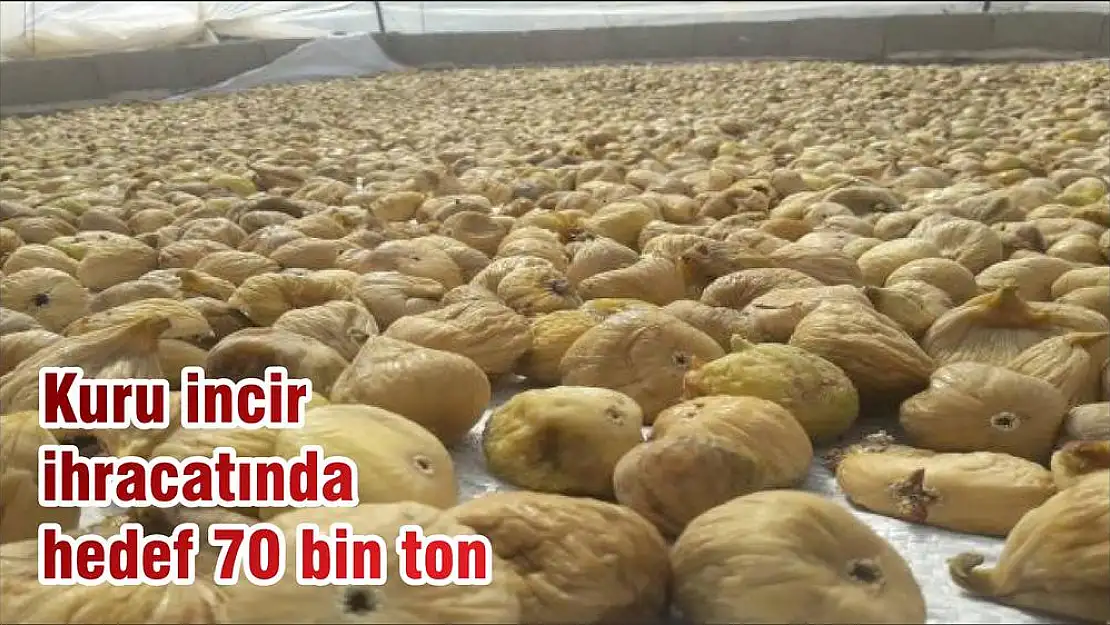 Kuru incir ihracatında hedef 70 bin ton