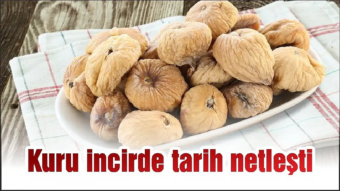Kuru incirde tarih netleşti