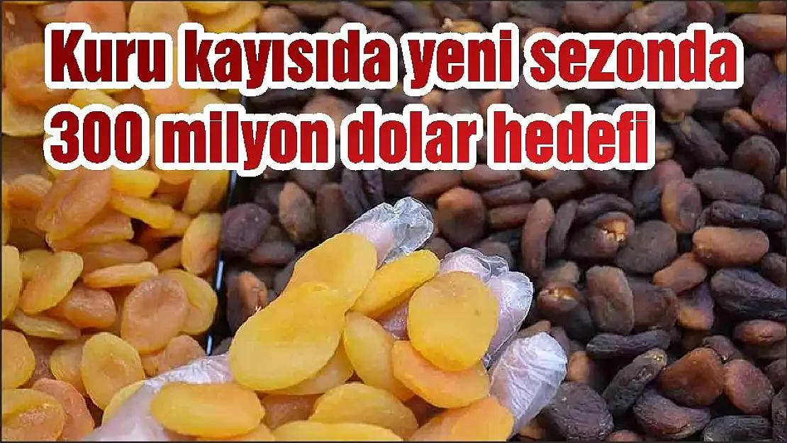 Kuru kayısıda yeni sezonda 300 milyon dolar hedefi