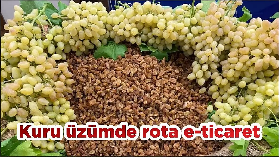 Kuru üzümde rota e-ticaret