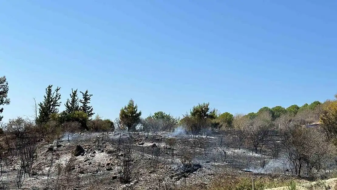 Kuşadası'ndaki orman yangını büyümeden söndürüldü