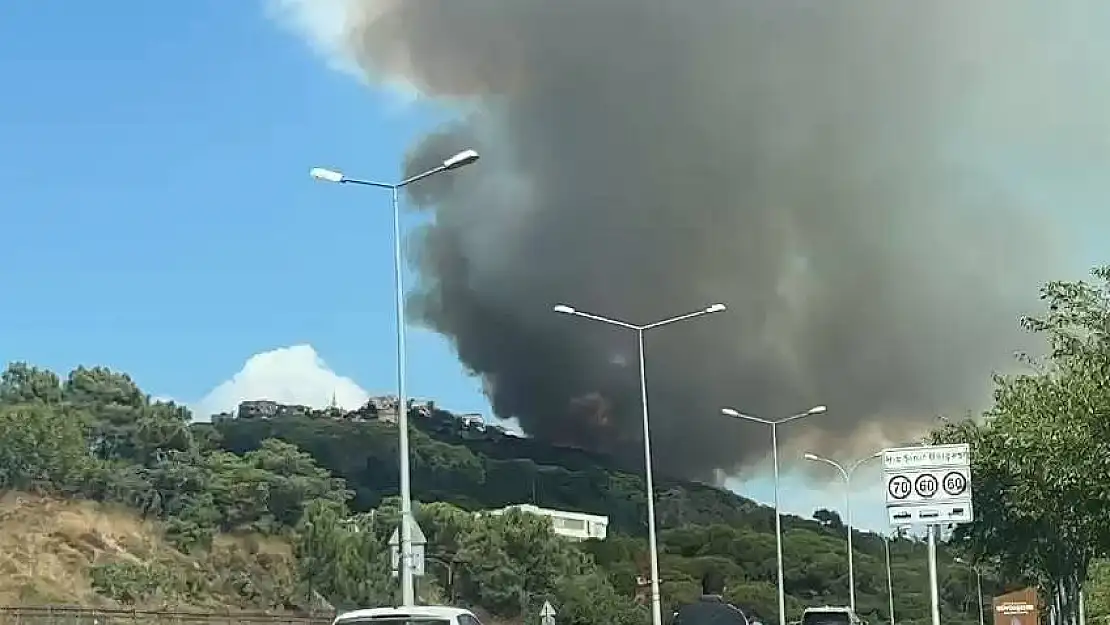 Maltepe’de orman yangını: Alevler evlere yaklaştı