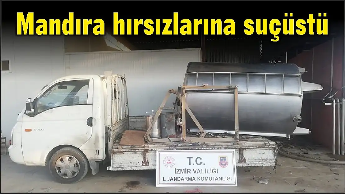 Mandıra hırsızlarına suçüstü