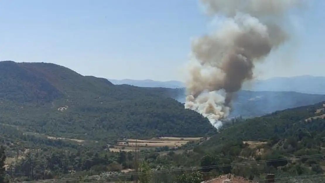 Manisa’da Orman Yangını