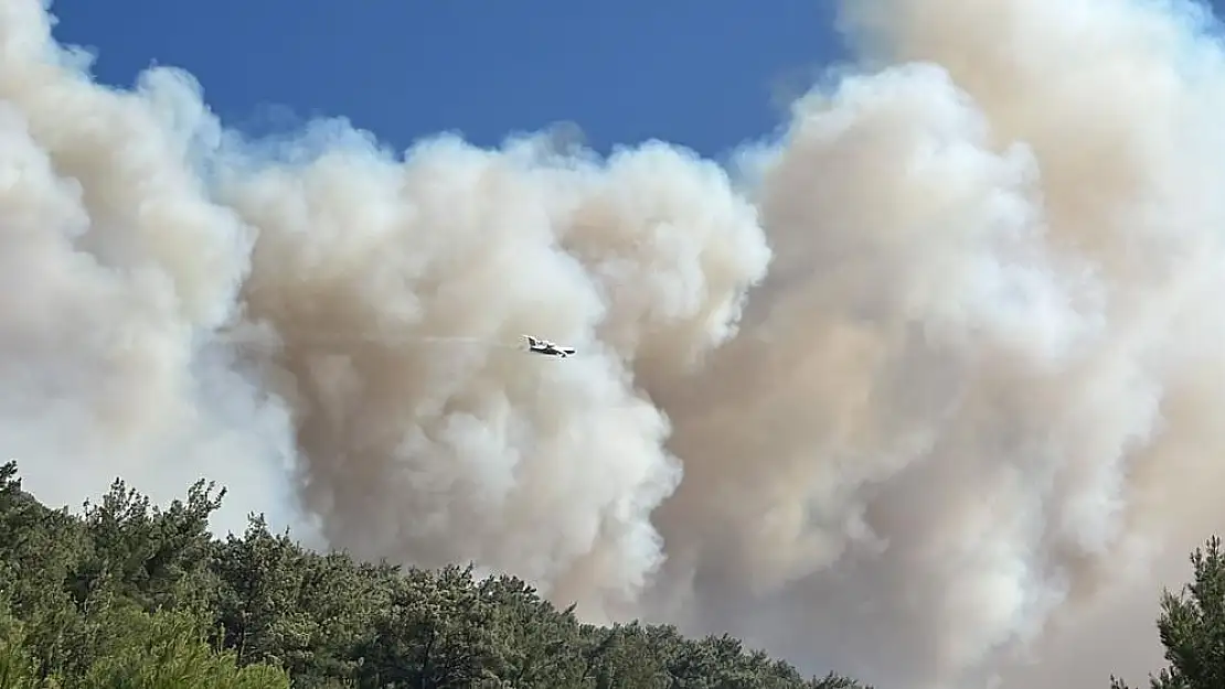 Manisa’nın orman yangını sürüyor