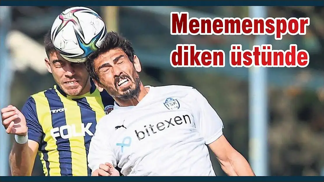 Menemen karışık