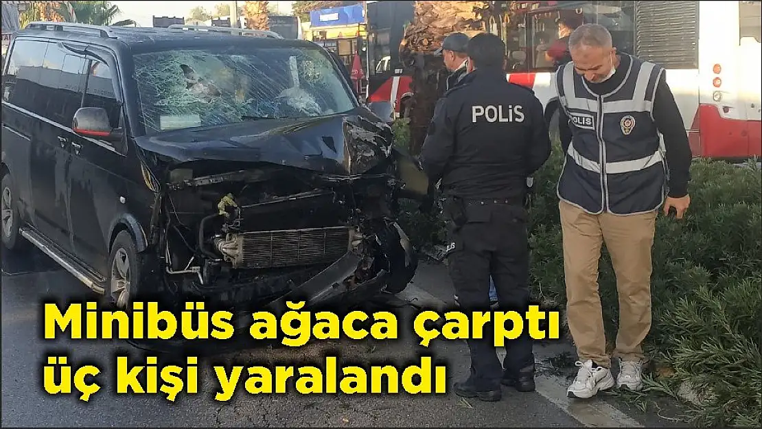 Minibüs ağaca çarptı üç kişi yaralandı