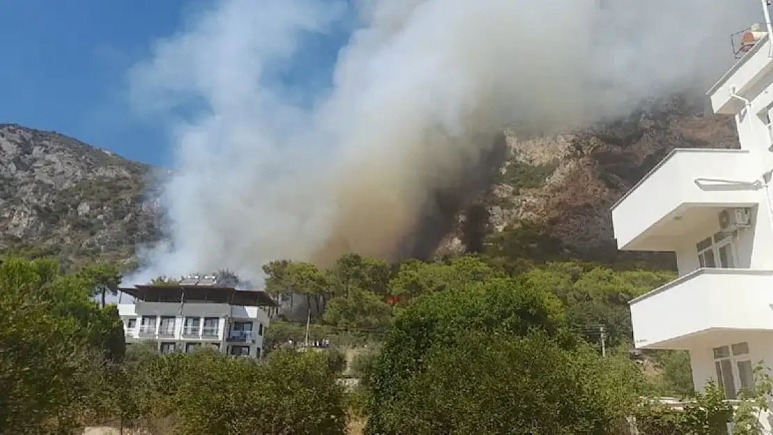 Muğla Milas’ta orman yangını, yerleşim yerlerine ilerliyor