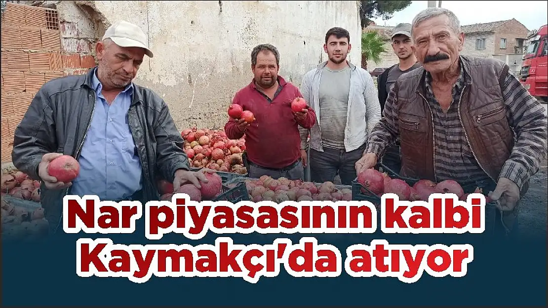 Nar piyasasının kalbi Kaymakçı'da atıyor