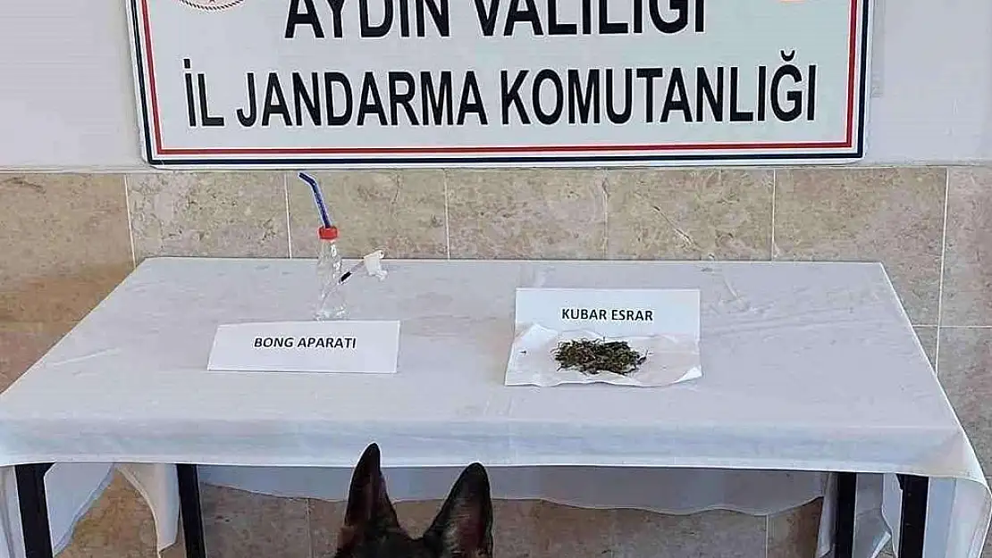 Nazilli’de Jandarma Operasyonunda Uyuşturucu Madde Ele Geçirildi