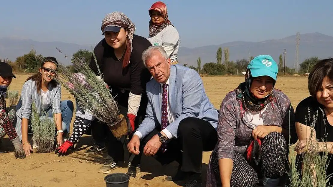 Ödemiş Belediyesi'nden 'Tıbbi-Aromatik Bitki Bahçesi'