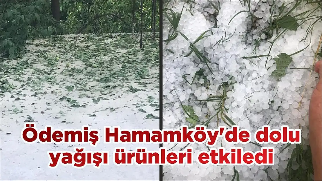 Ödemiş Hamamköy'de dolu yağışı ürünleri etkiledi