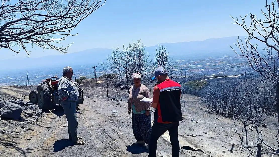 Ödemiş'te Orman Yangını Sonrası Tahliye Edilen Hayvanlar Güvenle Ahırlarına Döndü, Tarım Alanlarında Hasar Tespiti Başladı