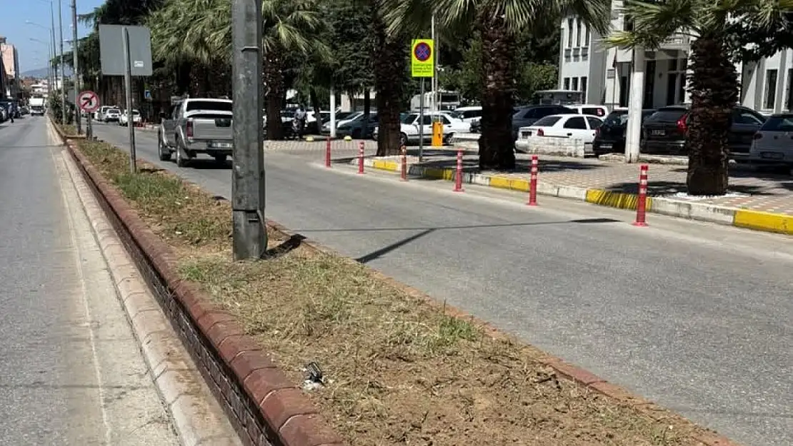 Ödemiş'te Peyzaj Hüsranı: Üç Ayda Kuruyan Bitkiler Tepki Topladı
