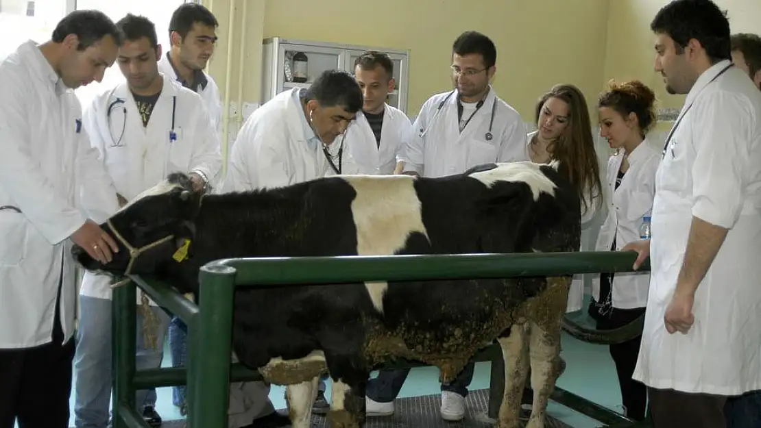 Ödemiş'e veterinerlik fakültesi yakışmaz mı?