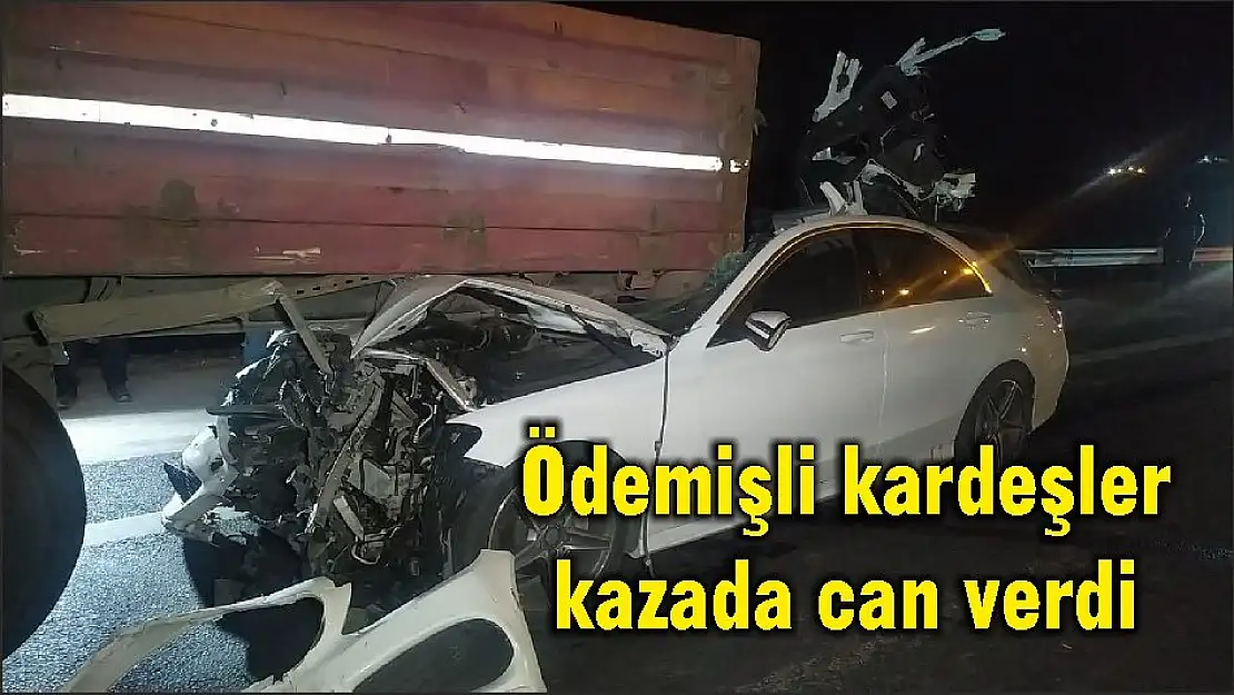 Ödemişli kardeşler kazada can verdi