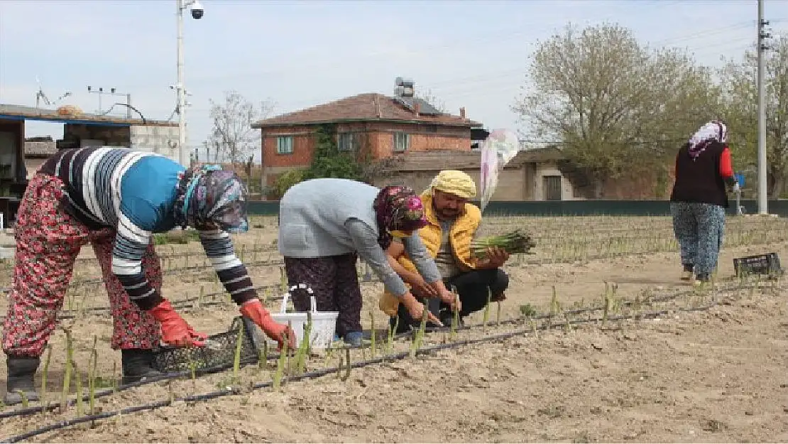 ÖDEMİŞ'TE BİR KUŞKONMAZ HİKAYESİ