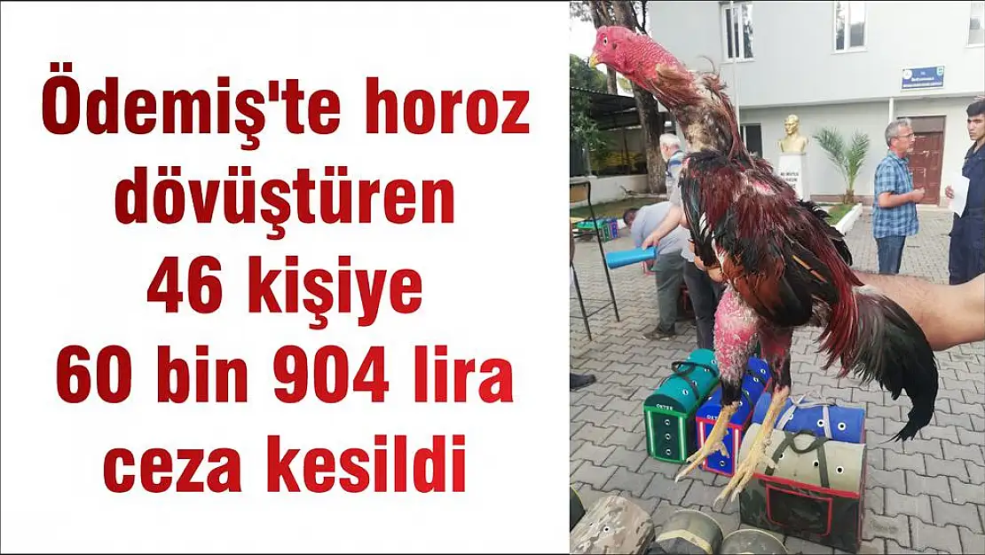 Ödemiş'te horoz dövüştüren 46 kişiye 60 bin 904 lira ceza kesildi